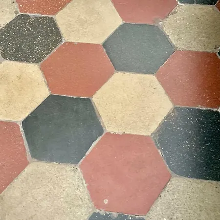 Le Rondini A Semesterbostad Rom