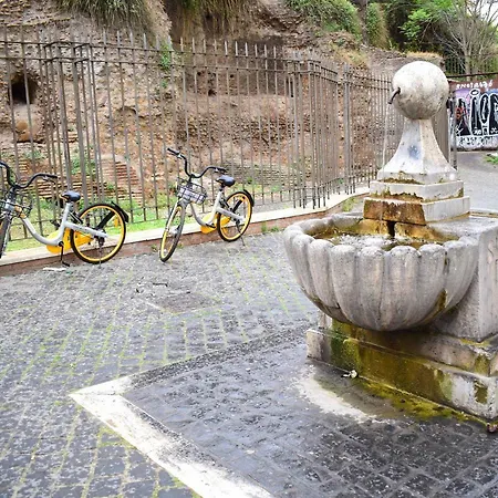 Le Rondini A Roma
